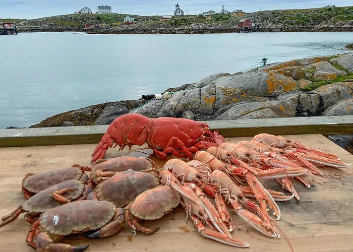 Nice Home In Sauoya With House Sea View Holiday home *